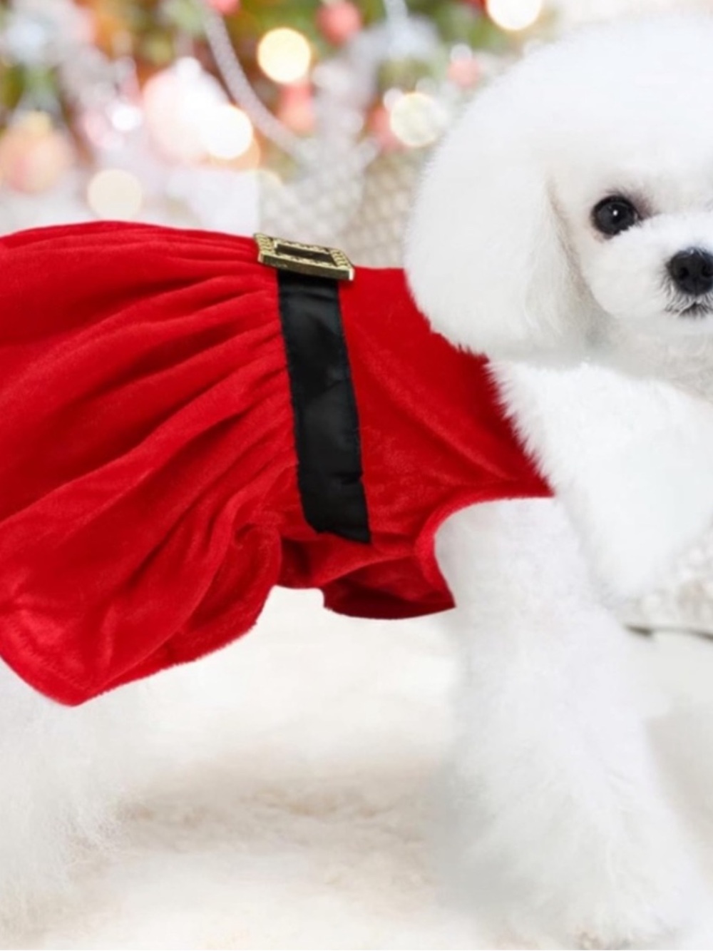 NWT Jessica Simpson Red Velvet Pet Dress
